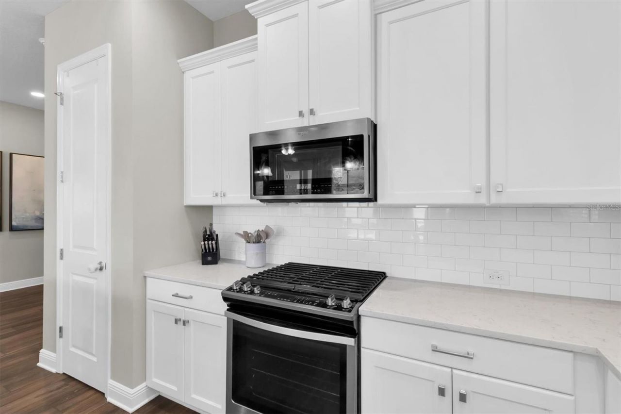 2784 Satilla Loop, Odessa, FL 33556 Photo