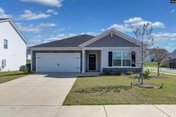 119 Purple Heron Way photo 4