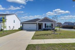 119 Purple Heron Way photo 4