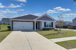 119 Purple Heron Way photo 4