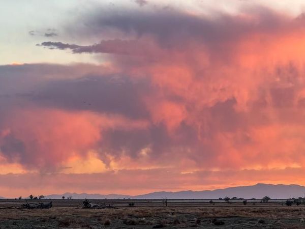 Vacant Land County Rd C, Crowley, CO 81066