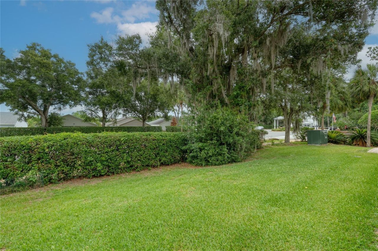 5319 Tangelo Street , Leesburg, FL 34748 Photo