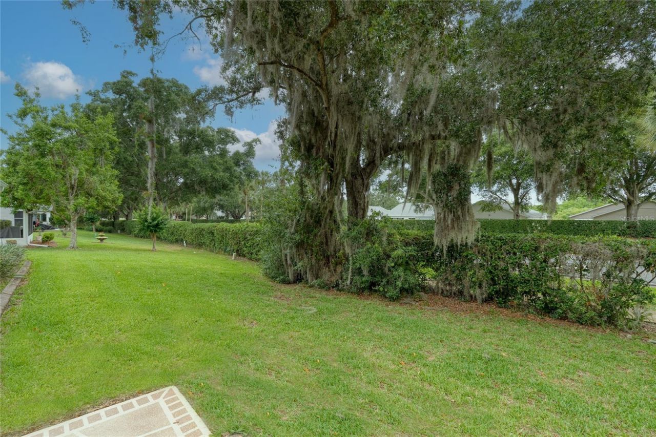 5319 Tangelo Street , Leesburg, FL 34748 Photo
