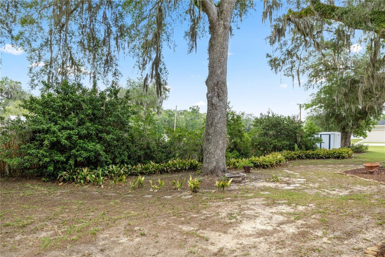 538 NW 7th Street , Williston, FL 32696 Photo