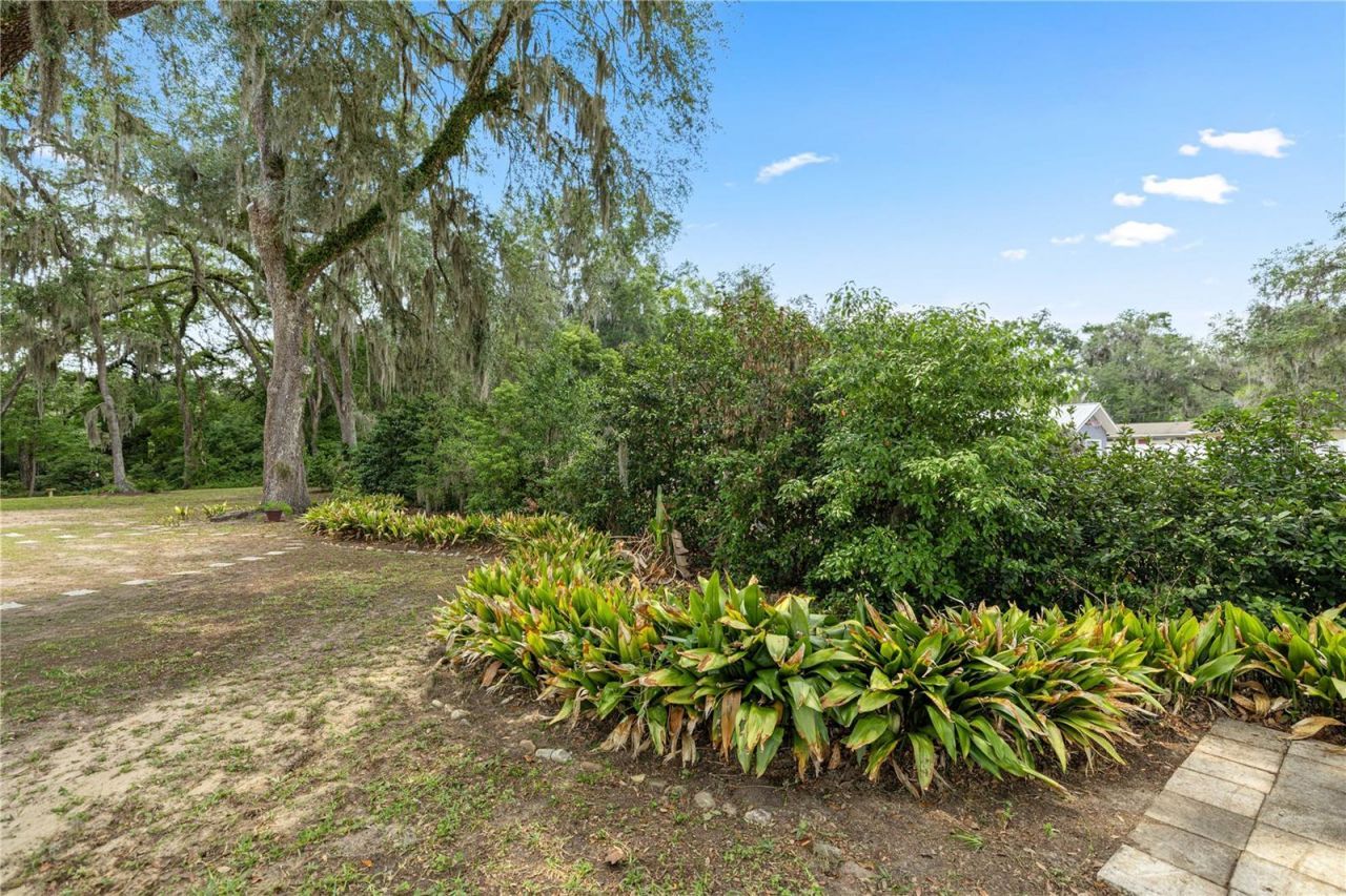 538 NW 7th Street , Williston, FL 32696 Photo
