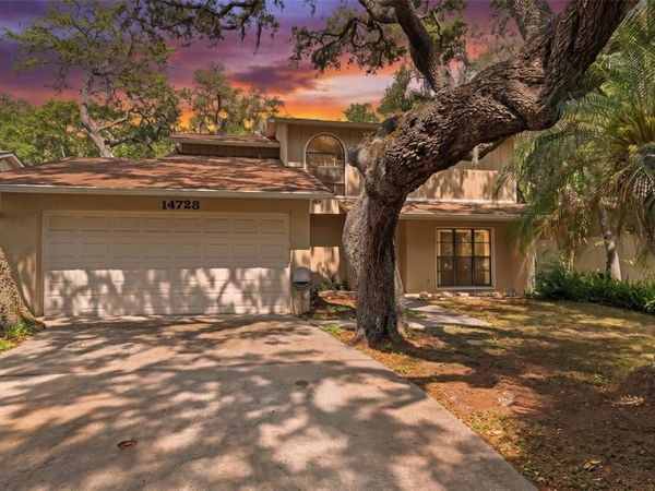 14728 TALL TREE DRIVE , LUTZ, FL 33559