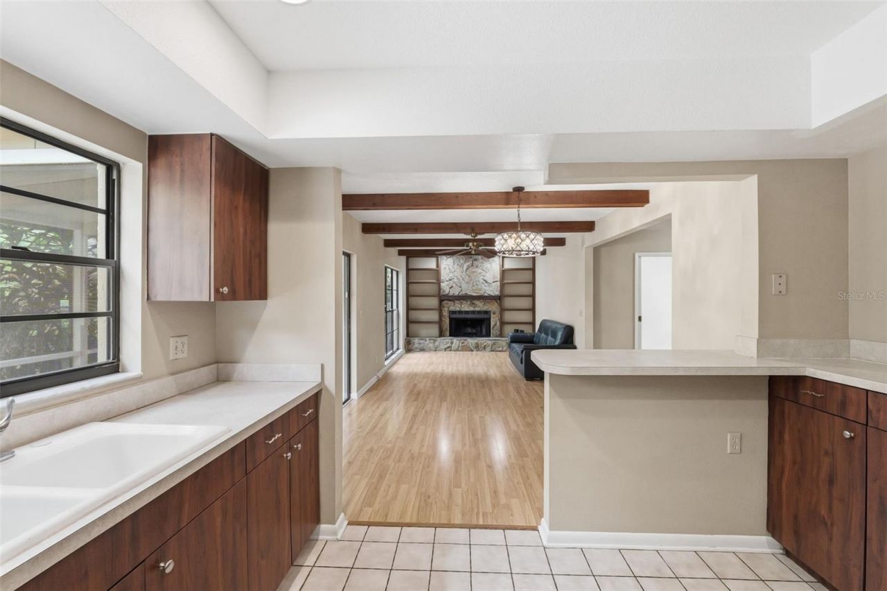 14728 Tall Tree Drive , Lutz, FL 33559 Photo