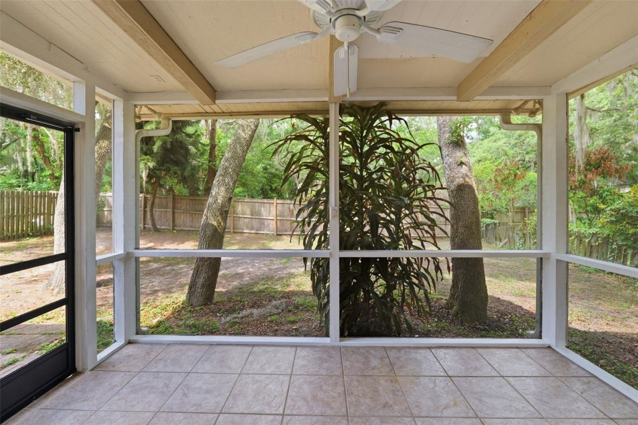 14728 Tall Tree Drive , Lutz, FL 33559 Photo