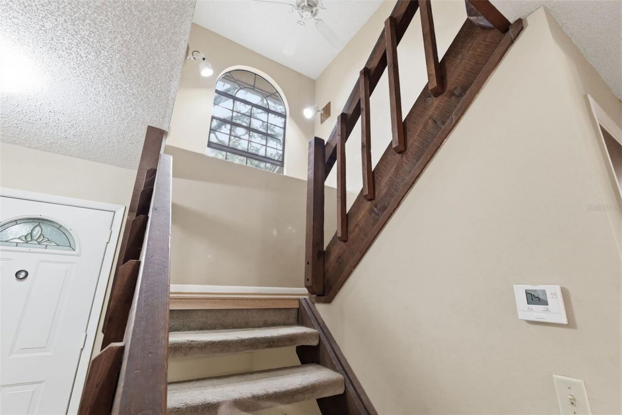 14728 Tall Tree Drive , Lutz, FL 33559 Photo