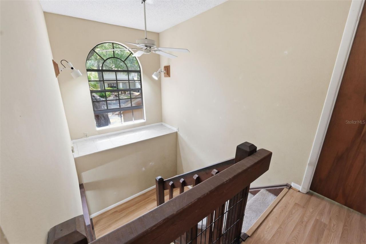 14728 Tall Tree Drive , Lutz, FL 33559 Photo