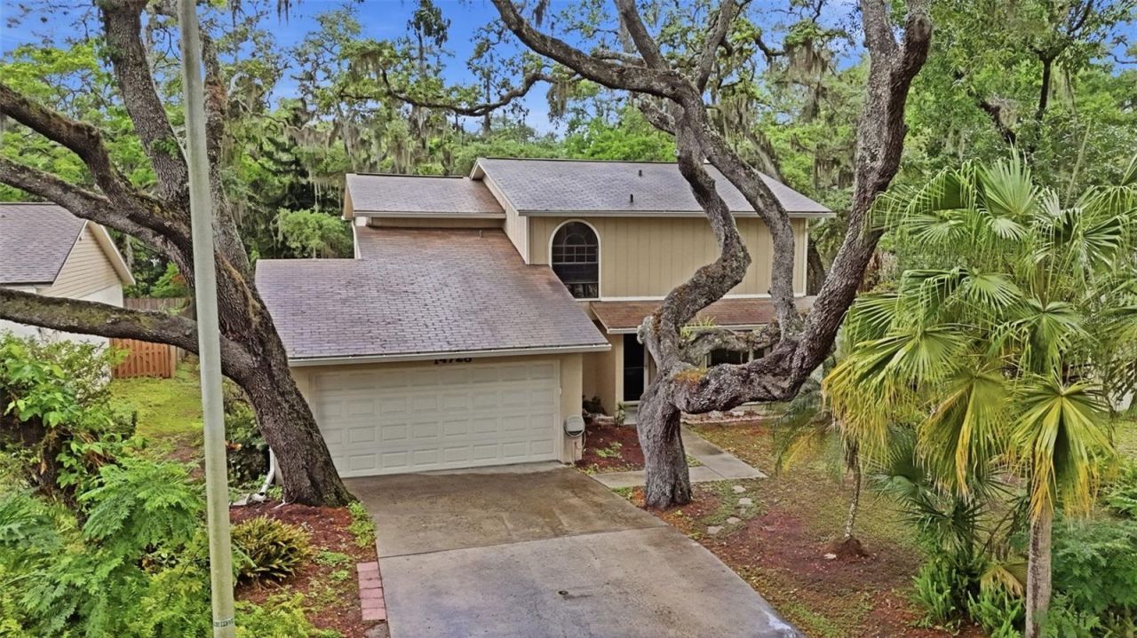 14728 Tall Tree Drive , Lutz, FL 33559 Photo