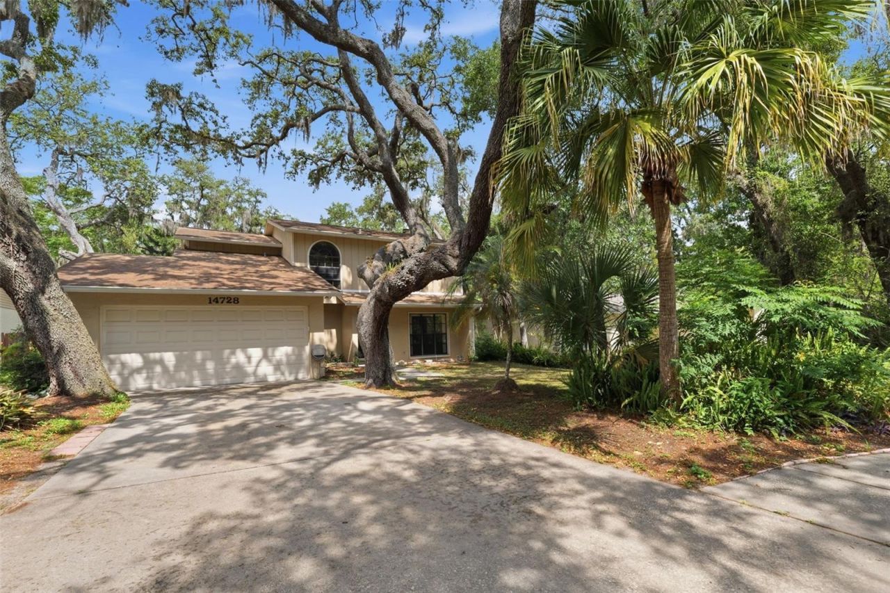 14728 Tall Tree Drive , Lutz, FL 33559 Photo