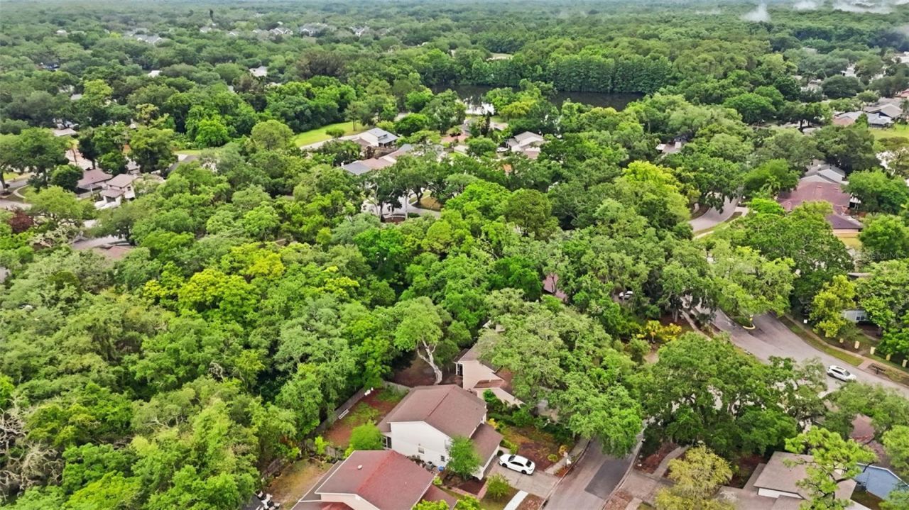 14728 Tall Tree Drive , Lutz, FL 33559 Photo