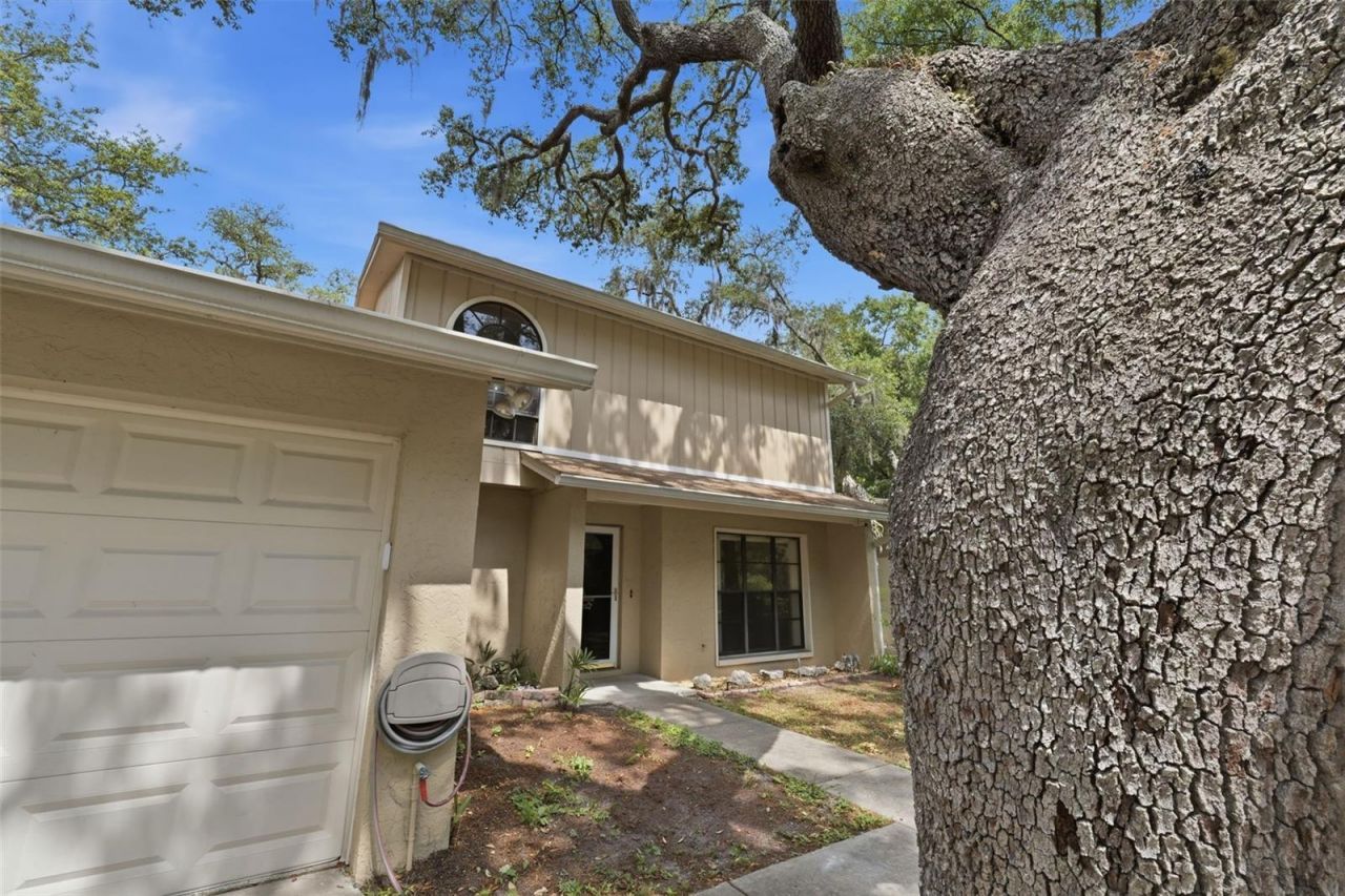 14728 Tall Tree Drive , Lutz, FL 33559 Photo