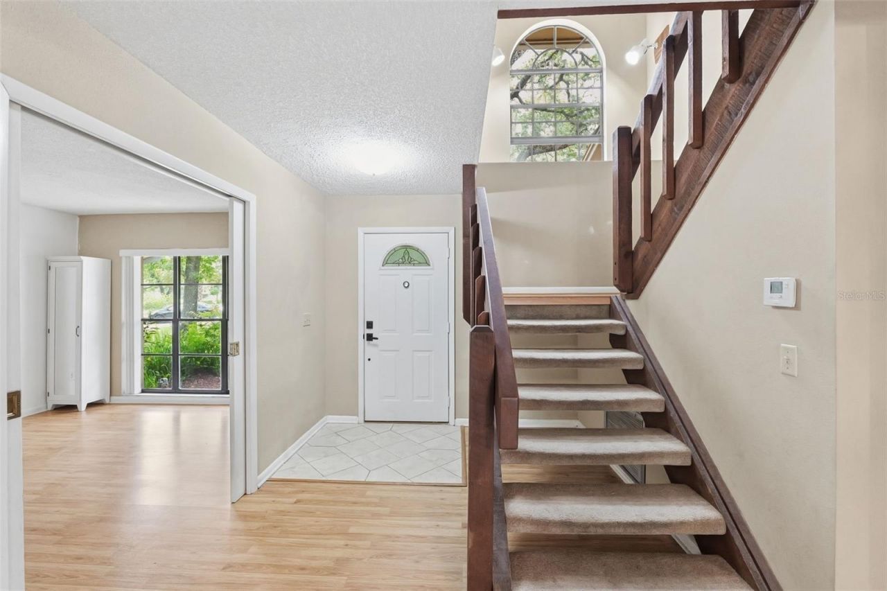 14728 Tall Tree Drive , Lutz, FL 33559 Photo