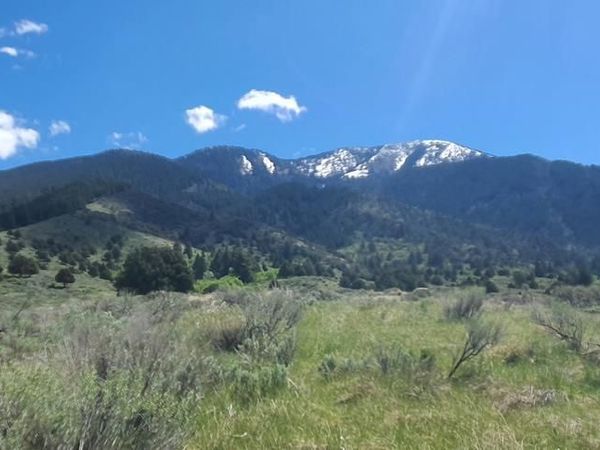 151 Elk Path, SWAN VALLEY, ID 83428