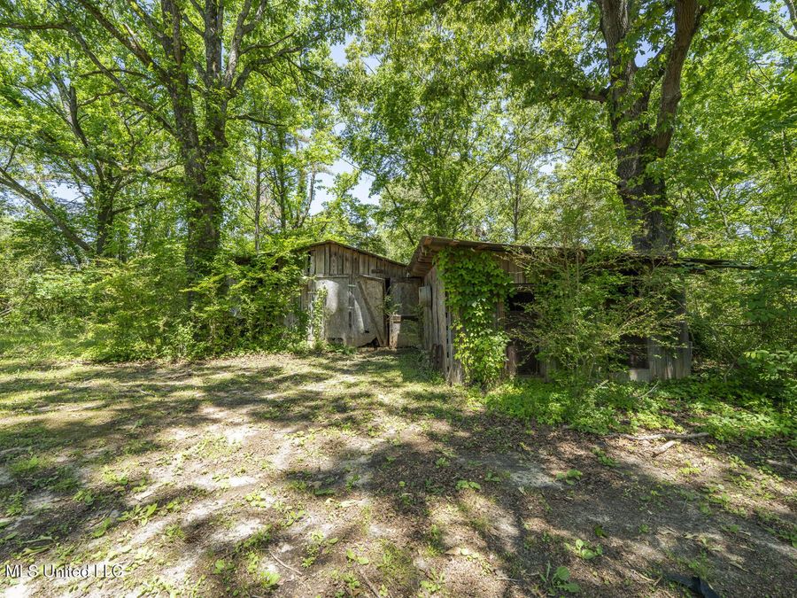 Property Image 41