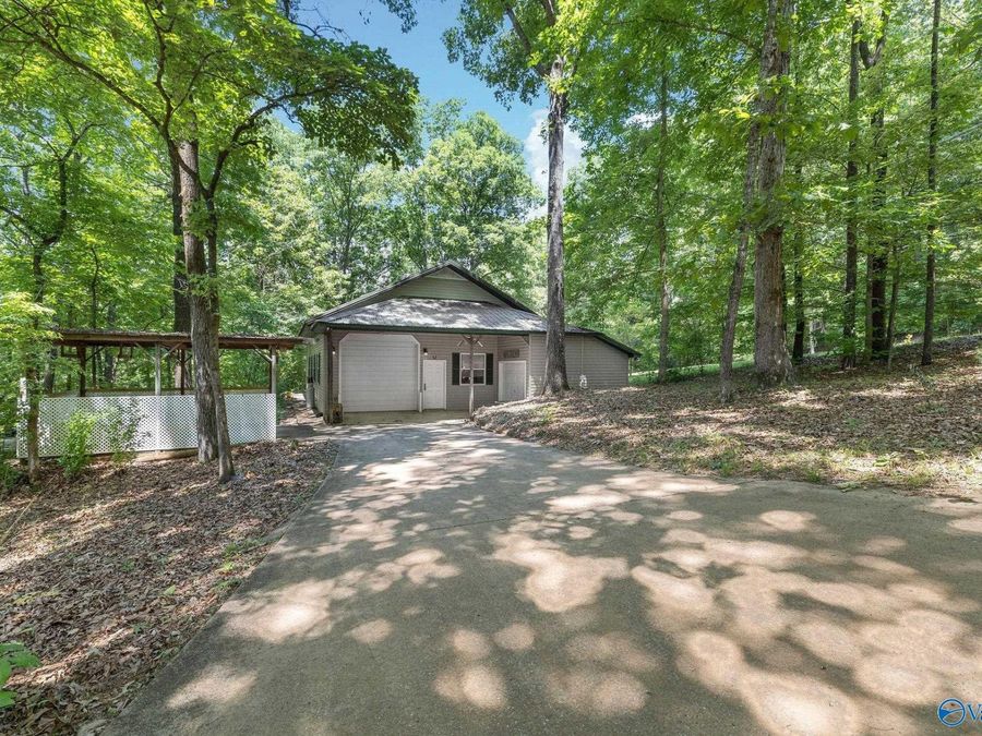 Property Image 46