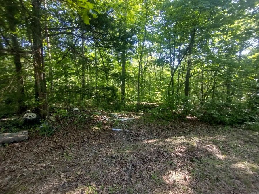 Property Image 33