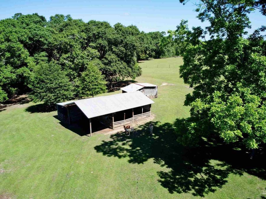 Property Image 59