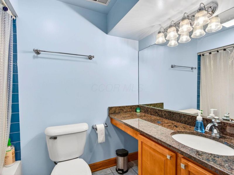 230 Cavenaugh Court, Powell, OH 43065 Photo 65