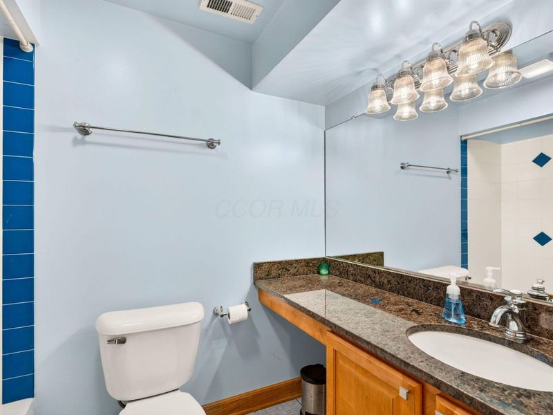230 Cavenaugh Court, Powell, OH 43065 Photo 74