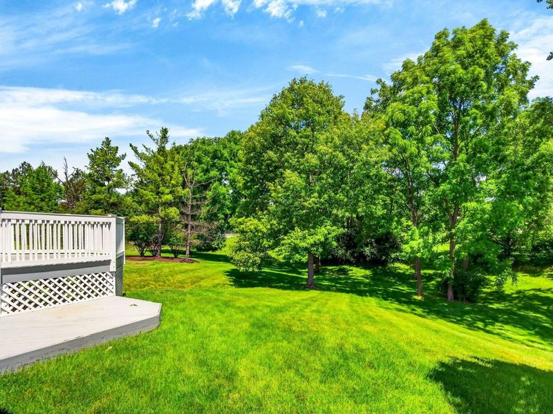 230 Cavenaugh Court, Powell, OH 43065 Photo 75