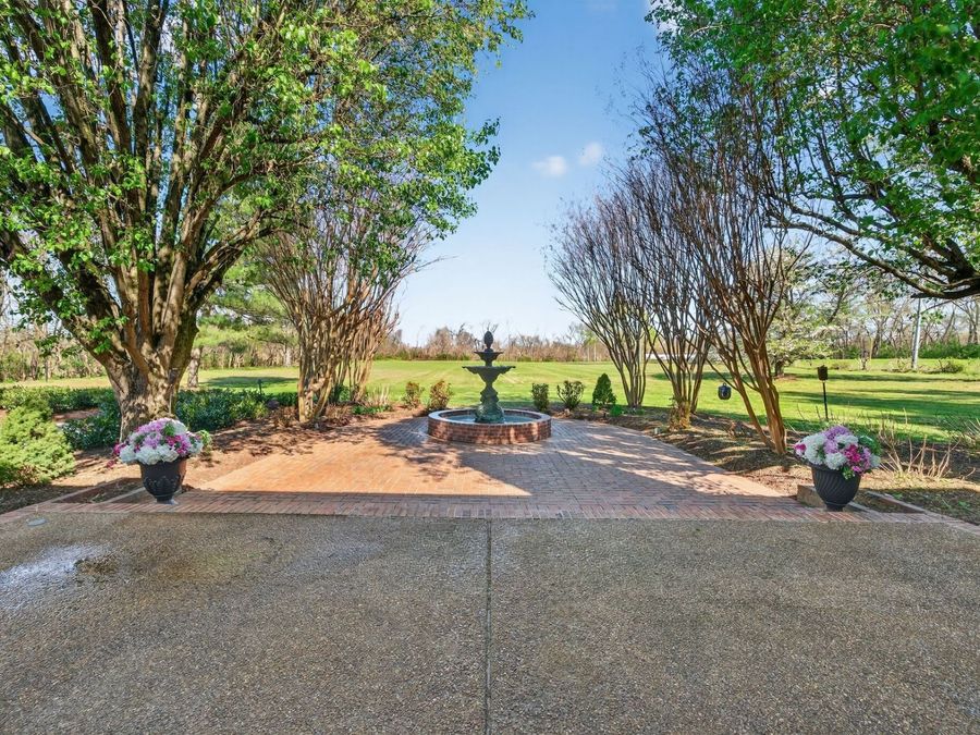 Property Image 56