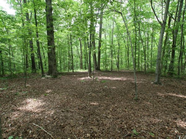 5671 Pinewood Rd , Franklin, TN 37064