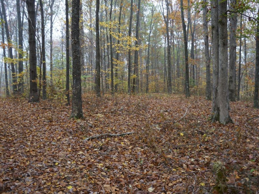 Property Image 35