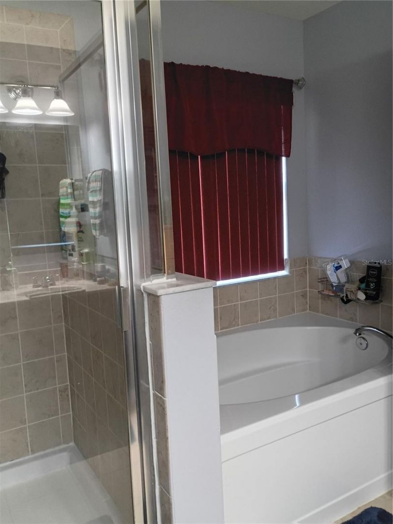 5220 Butterfly Shell Drive , Apollo Beach, FL 33572 Photo