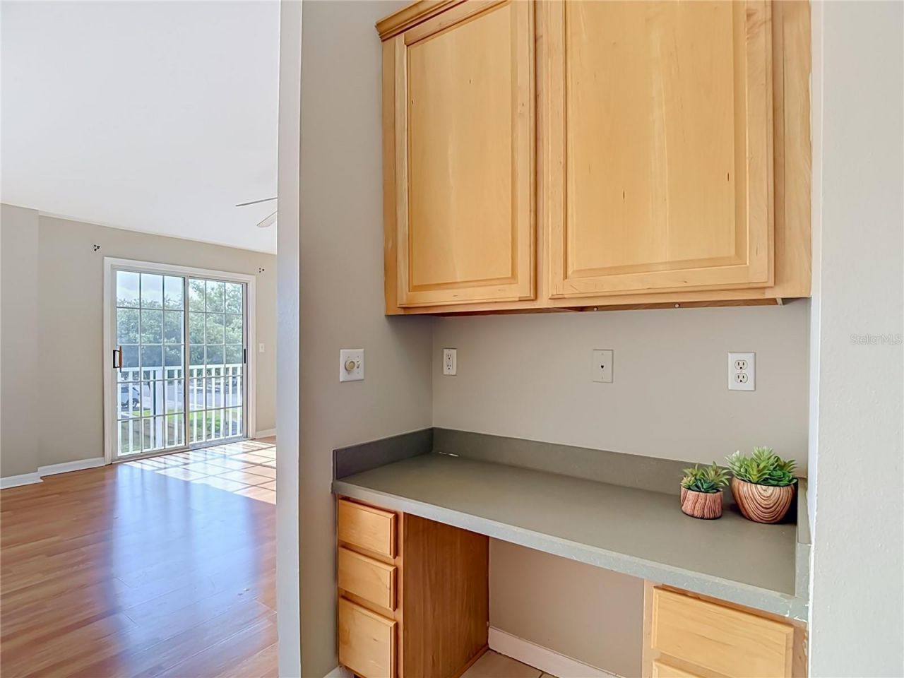 27901 Pleasure Ride Loop , Wesley Chapel, FL 33544 Photo