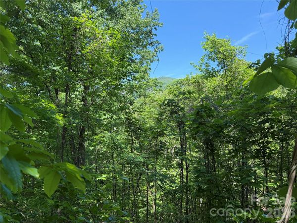 0 Buffalo Shoals Road , Lake Lure, NC 28746