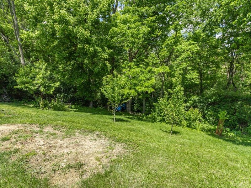 1813 Tuxworth Avenue, Unit 1 (9), Cincinnati, OH 45238 Photo 6