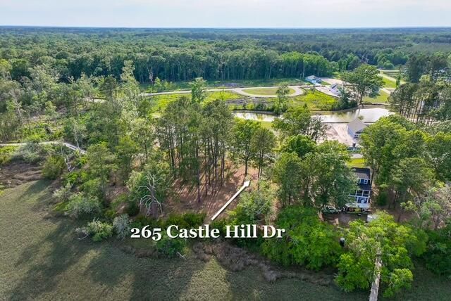 265 Castle Hill Drive Photo 4