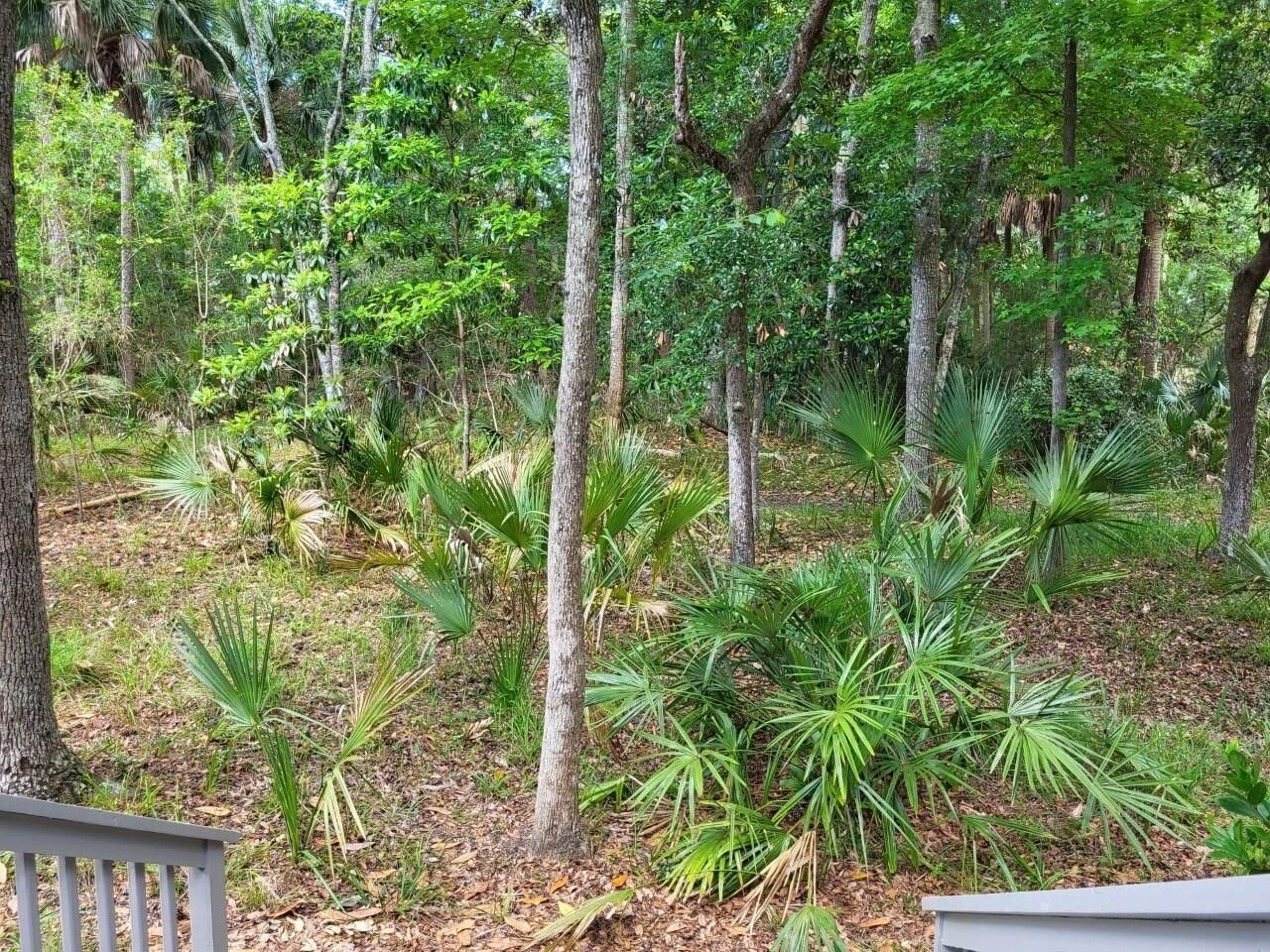 2743 Old Oak Walk Photo 4