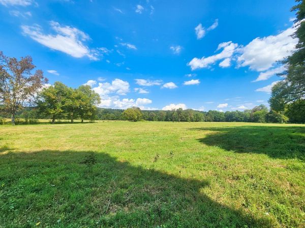 8312 Middle Butler Rd, Iron City, TN 38463