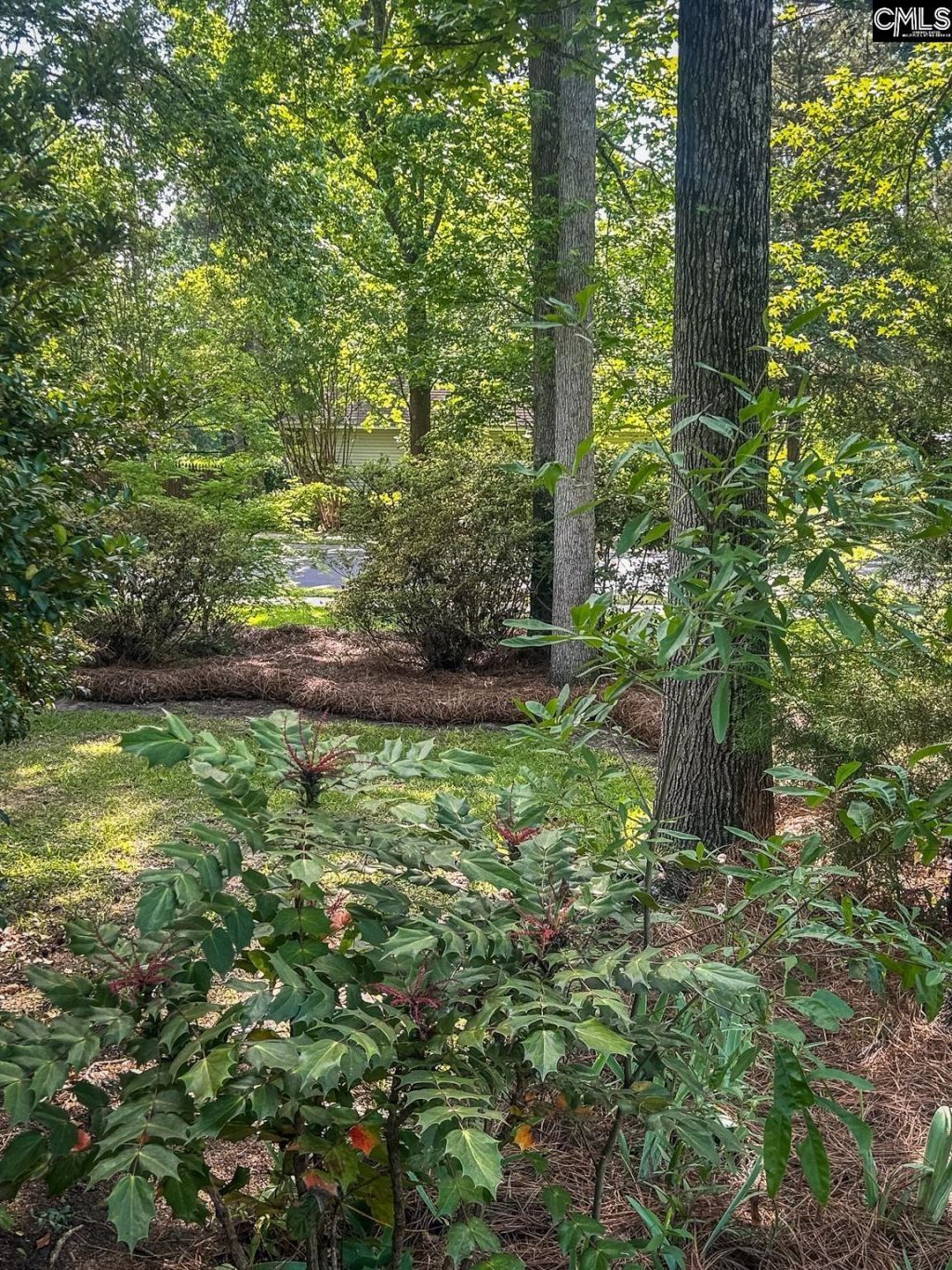 133 Tarrar Springs Road  Photo 29