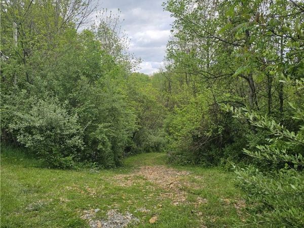8280 Township Road 263 , Bergholz, OH 43908
