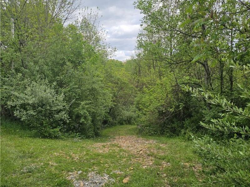 8280 Township Road 263, Bergholz, OH 43908 Photo 1