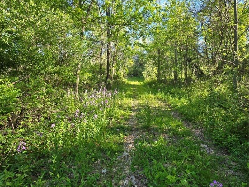 8280 Township Road 263, Bergholz, OH 43908 Photo 16