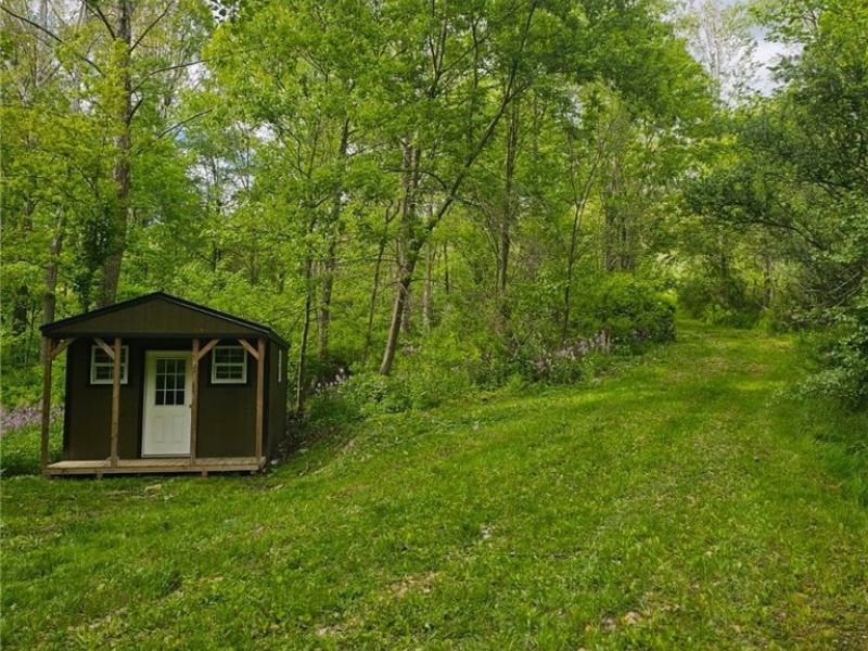 8280 Township Road 263, Bergholz, OH 43908 Photo 4