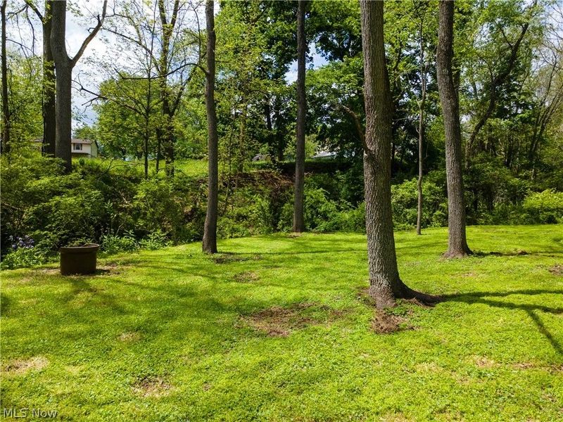 659 E Jackson Street, Millersburg, OH 44654 Photo 37