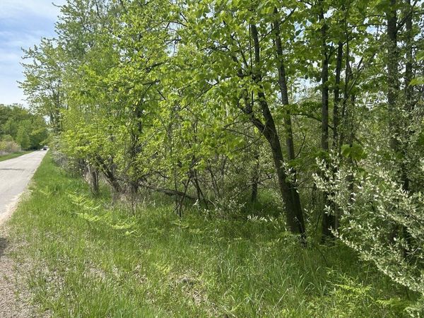Elm Drive, Lakeview, MI 48850