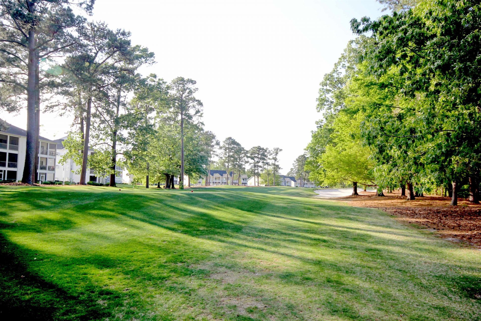 1534 Lanterns Rest Rd.  Photo 40
