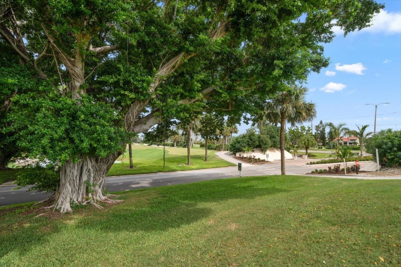 5532 Puerta Del Sol Boulevard S, Unit 138, Saint Petersburg, FL 33715 Photo