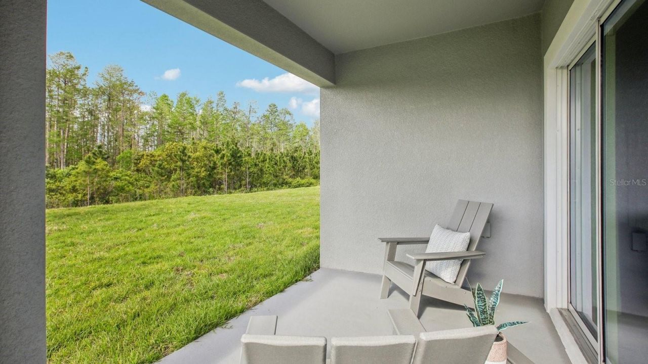 15023 Crosshall Stream Drive, Wimauma, FL 33598 Photo