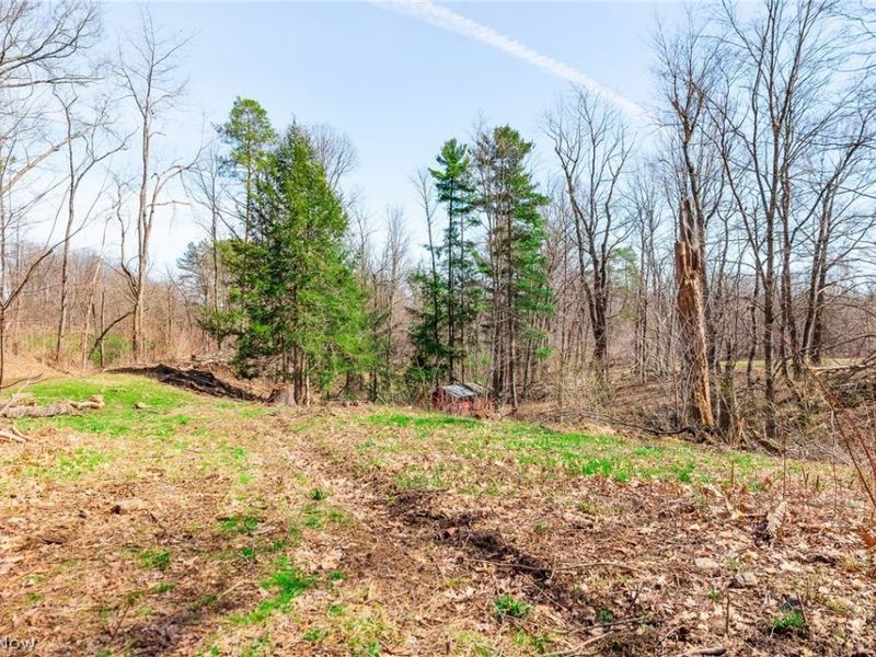 327 Briarhill Drive , Rittman, OH 44270 Photo 12