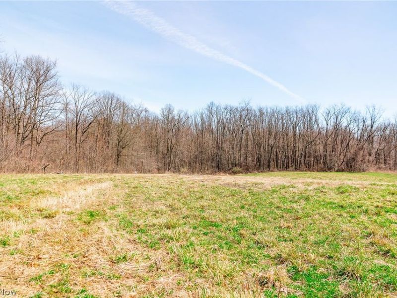 327 Briarhill Drive , Rittman, OH 44270 Photo 19