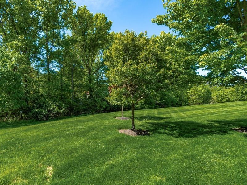 239 Tinley Park Circle, Delaware, OH 43015 Photo 39